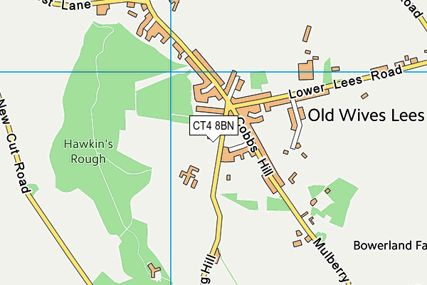 CT4 8BN map - OS VectorMap District (Ordnance Survey)