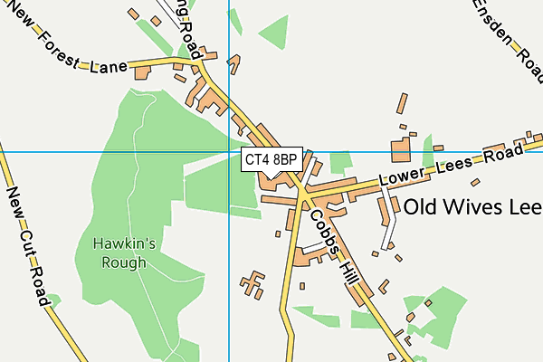 CT4 8BP map - OS VectorMap District (Ordnance Survey)