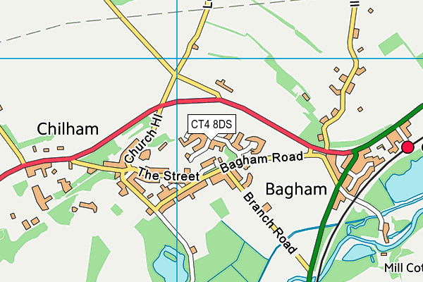 CT4 8DS map - OS VectorMap District (Ordnance Survey)