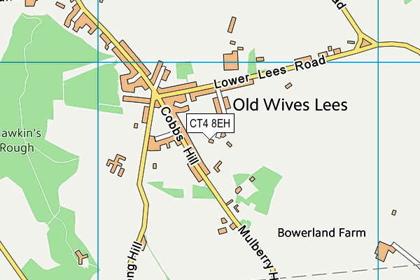 CT4 8EH map - OS VectorMap District (Ordnance Survey)