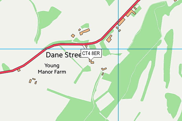 CT4 8ER map - OS VectorMap District (Ordnance Survey)