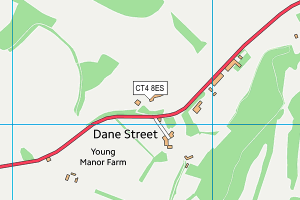 CT4 8ES map - OS VectorMap District (Ordnance Survey)