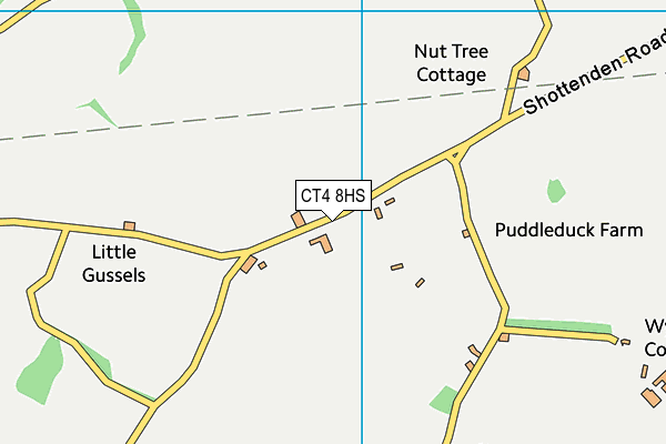 CT4 8HS map - OS VectorMap District (Ordnance Survey)