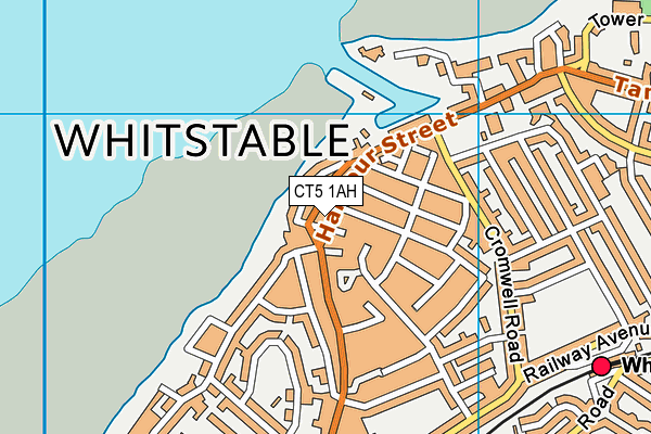 CT5 1AH map - OS VectorMap District (Ordnance Survey)