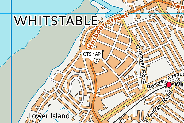 CT5 1AP map - OS VectorMap District (Ordnance Survey)