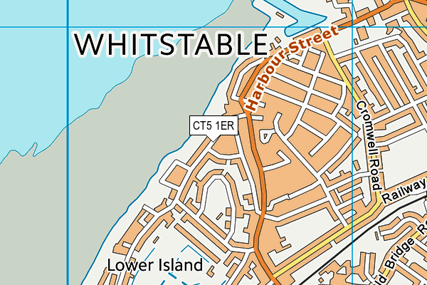 CT5 1ER map - OS VectorMap District (Ordnance Survey)