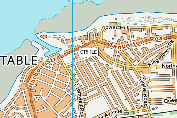 CT5 1LE map - OS VectorMap District (Ordnance Survey)