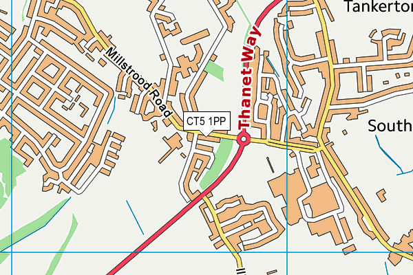 CT5 1PP map - OS VectorMap District (Ordnance Survey)