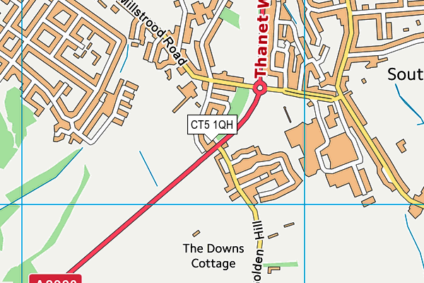 CT5 1QH map - OS VectorMap District (Ordnance Survey)