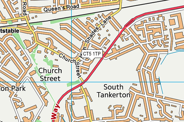 CT5 1TP map - OS VectorMap District (Ordnance Survey)