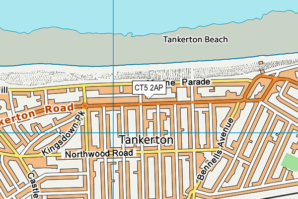 CT5 2AP map - OS VectorMap District (Ordnance Survey)