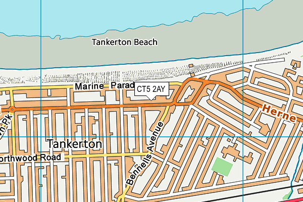 CT5 2AY map - OS VectorMap District (Ordnance Survey)