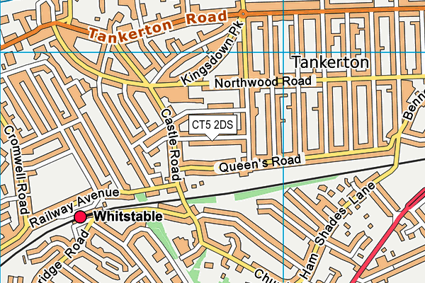 CT5 2DS map - OS VectorMap District (Ordnance Survey)