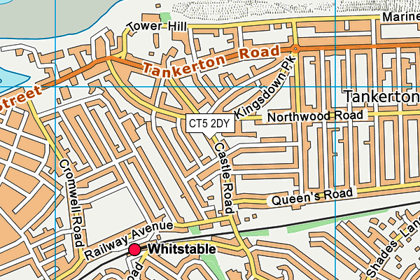 CT5 2DY map - OS VectorMap District (Ordnance Survey)