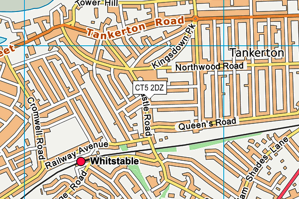 CT5 2DZ map - OS VectorMap District (Ordnance Survey)