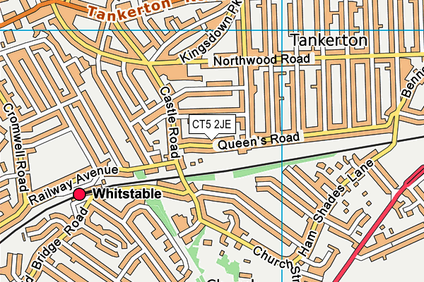 CT5 2JE map - OS VectorMap District (Ordnance Survey)