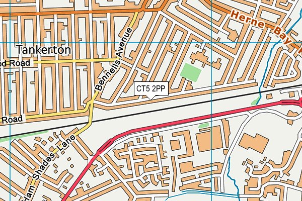CT5 2PP map - OS VectorMap District (Ordnance Survey)