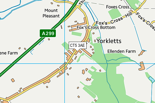 CT5 3AE map - OS VectorMap District (Ordnance Survey)