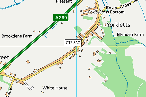 CT5 3AG map - OS VectorMap District (Ordnance Survey)