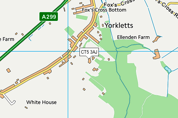 CT5 3AJ map - OS VectorMap District (Ordnance Survey)