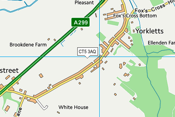CT5 3AQ map - OS VectorMap District (Ordnance Survey)