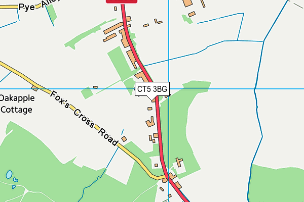 CT5 3BG map - OS VectorMap District (Ordnance Survey)