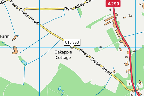 CT5 3BU map - OS VectorMap District (Ordnance Survey)