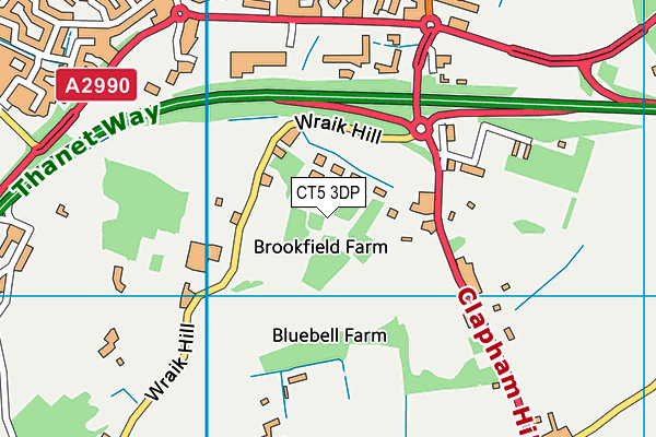 CT5 3DP map - OS VectorMap District (Ordnance Survey)