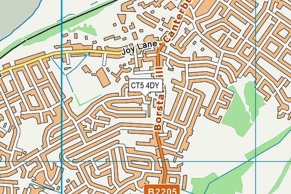 CT5 4DY map - OS VectorMap District (Ordnance Survey)