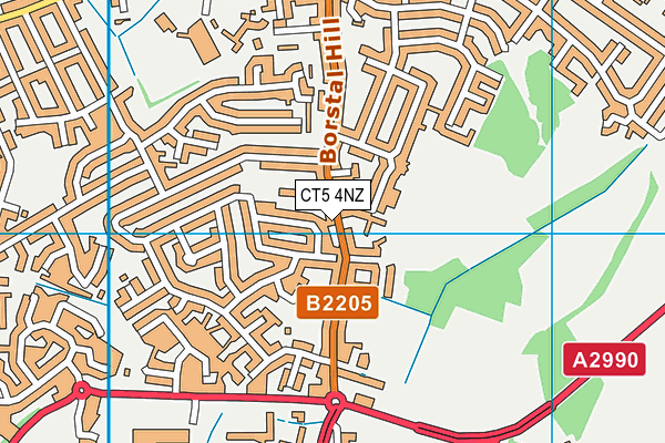 CT5 4NZ map - OS VectorMap District (Ordnance Survey)