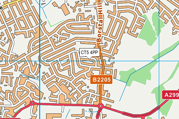 CT5 4PP map - OS VectorMap District (Ordnance Survey)