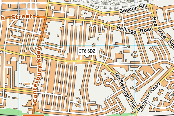CT6 6DZ map - OS VectorMap District (Ordnance Survey)