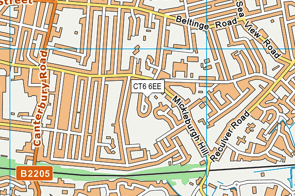 CT6 6EE map - OS VectorMap District (Ordnance Survey)