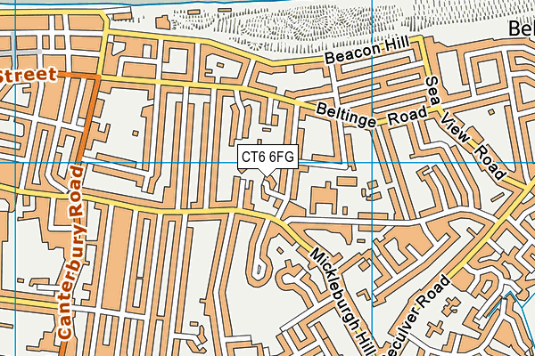 CT6 6FG map - OS VectorMap District (Ordnance Survey)