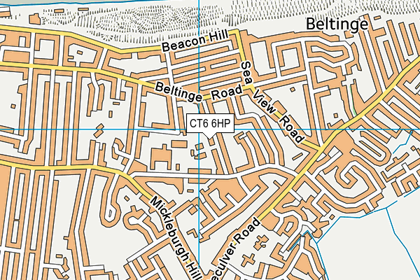 CT6 6HP map - OS VectorMap District (Ordnance Survey)