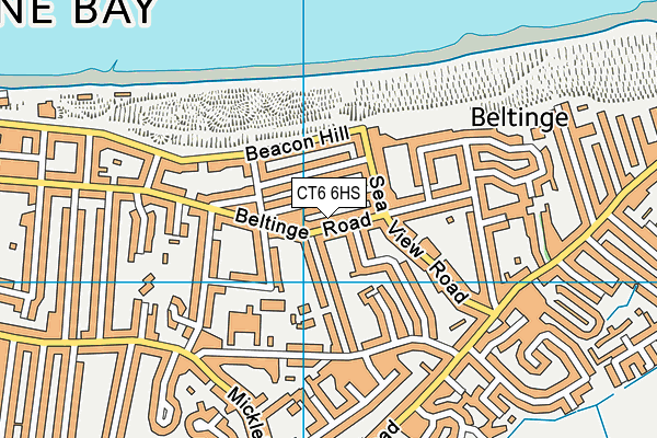 CT6 6HS map - OS VectorMap District (Ordnance Survey)