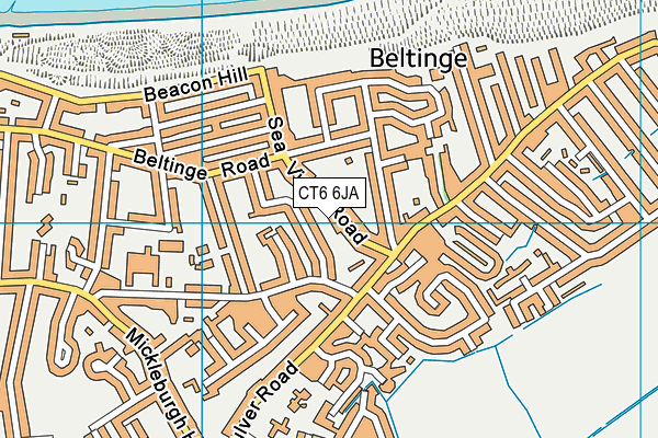 CT6 6JA map - OS VectorMap District (Ordnance Survey)