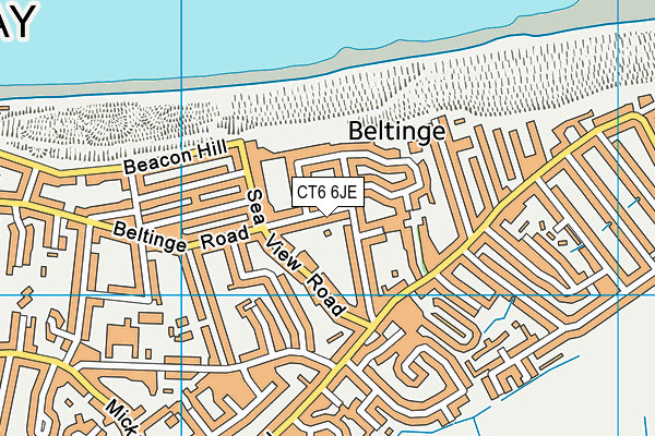 CT6 6JE map - OS VectorMap District (Ordnance Survey)