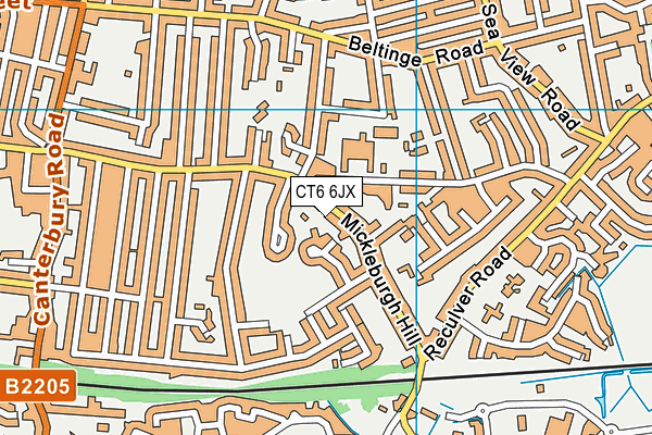 CT6 6JX map - OS VectorMap District (Ordnance Survey)