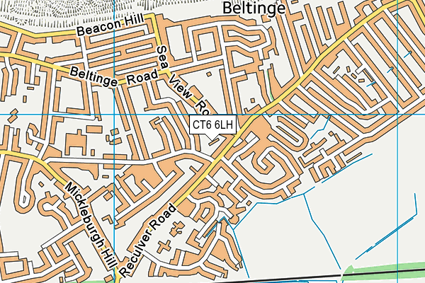 CT6 6LH map - OS VectorMap District (Ordnance Survey)