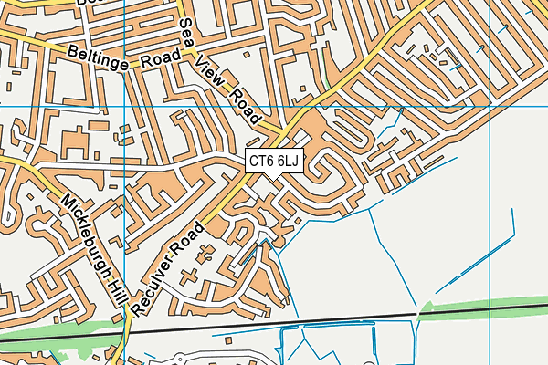 CT6 6LJ map - OS VectorMap District (Ordnance Survey)