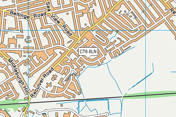 CT6 6LN map - OS VectorMap District (Ordnance Survey)