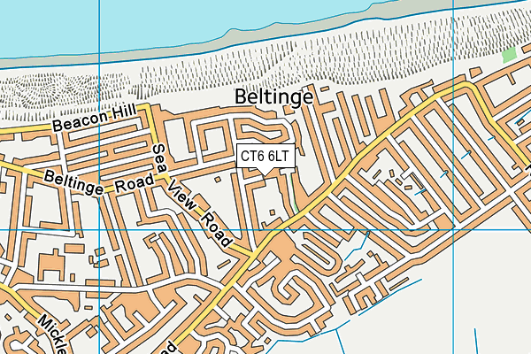 CT6 6LT map - OS VectorMap District (Ordnance Survey)