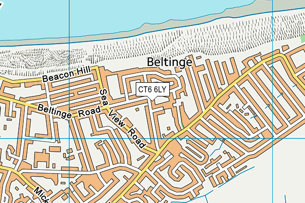 CT6 6LY map - OS VectorMap District (Ordnance Survey)