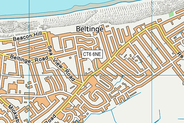 CT6 6NE map - OS VectorMap District (Ordnance Survey)