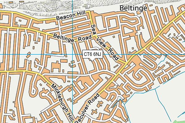 CT6 6NJ map - OS VectorMap District (Ordnance Survey)