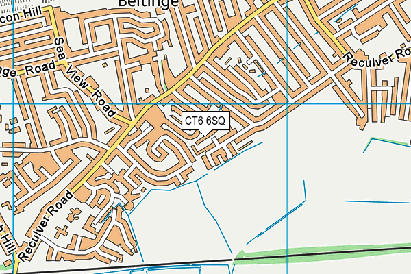 CT6 6SQ map - OS VectorMap District (Ordnance Survey)