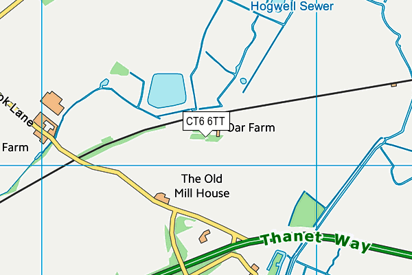 CT6 6TT map - OS VectorMap District (Ordnance Survey)