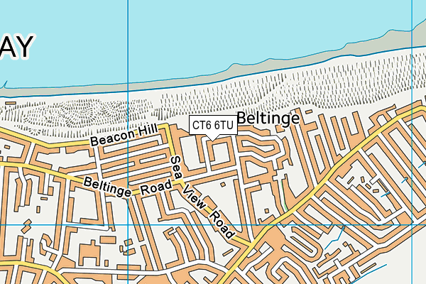 CT6 6TU map - OS VectorMap District (Ordnance Survey)