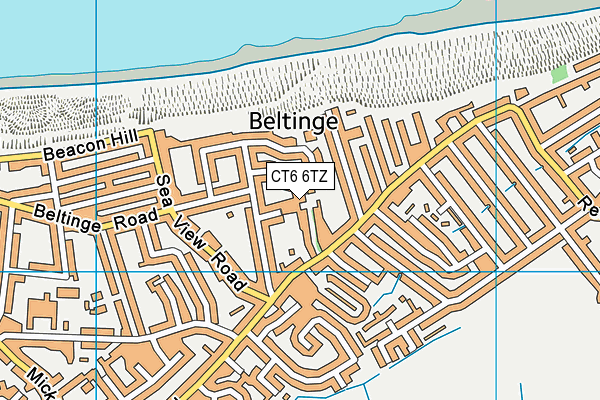 CT6 6TZ map - OS VectorMap District (Ordnance Survey)